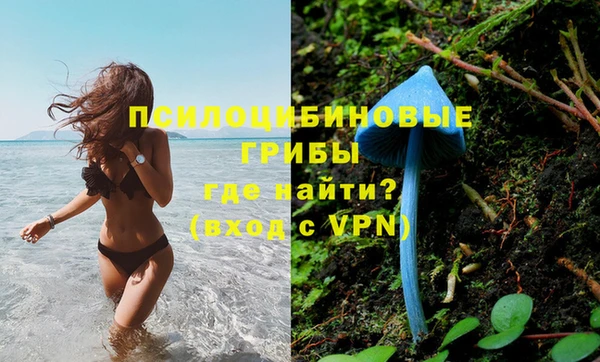 ешки Верхний Тагил