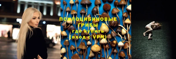 меф Богородицк