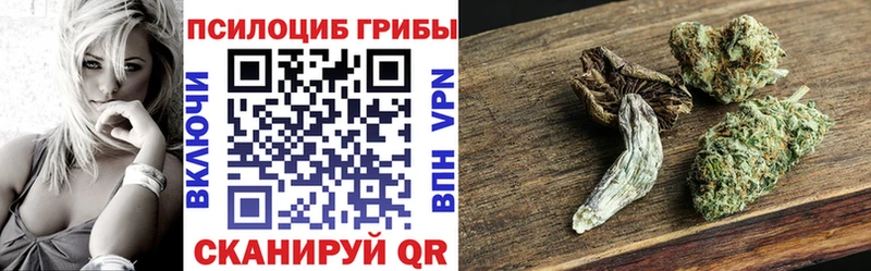 Псилоцибиновые грибы мухоморы  Купить закладки  Острогожск 