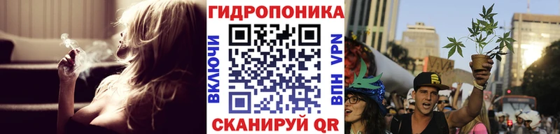 Бошки марихуана VHQ  Купить закладки  Острогожск 